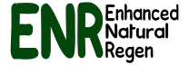enr logo transparent
