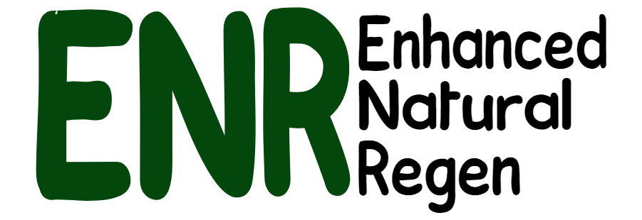 enr logo transparent