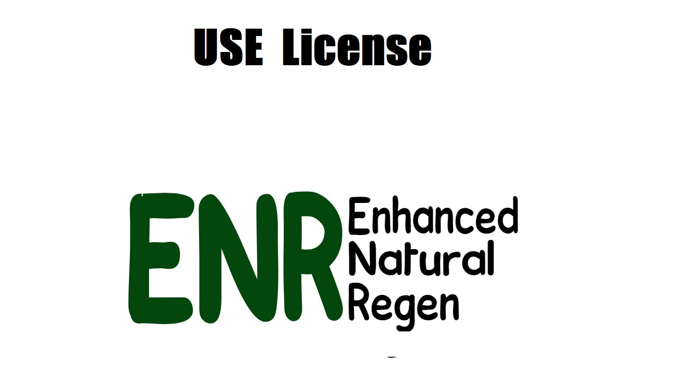 use license